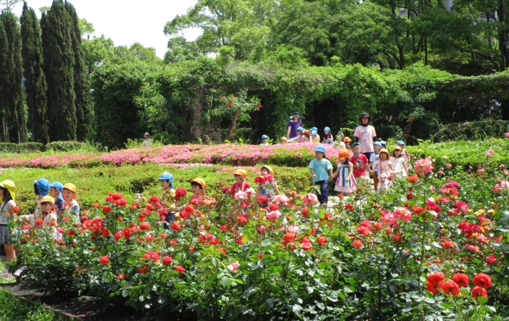 保護者のページ 阿波国慈恵院こども園